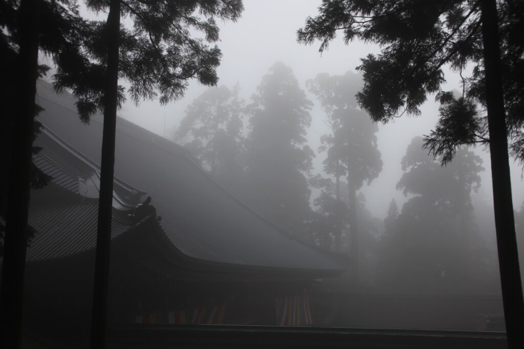 琵琶湖の美しい景色を求めて――琵琶湖八景の旅　三景　煙雨　比叡の樹林
