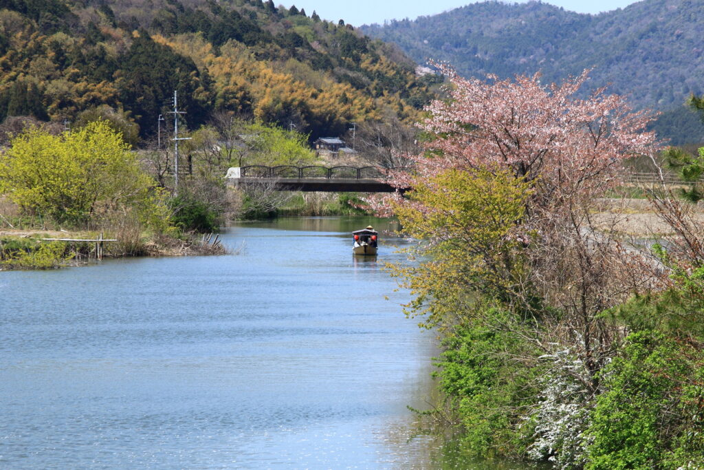 琵琶湖の美しい景色を求めて――琵琶湖八景の旅　八景　春色　安土八幡の水郷