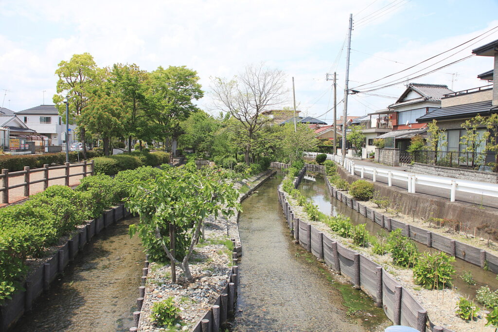 日本遺産・琵琶湖　祈りと暮らしの水遺産　守山の湧水とホタル