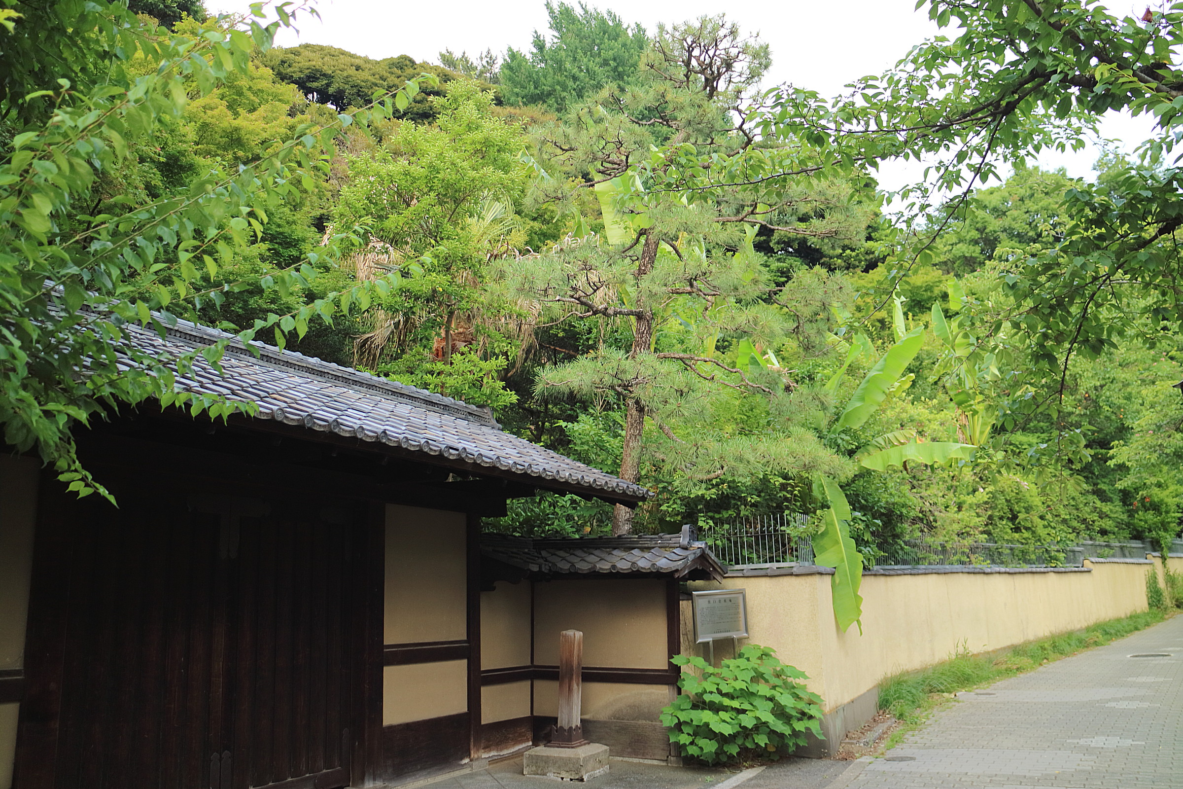 近江を愛した松尾芭蕉の句碑を尋ねる旅 芭蕉の足跡① | 一般社団 近江を愛した松尾芭蕉の句碑を尋ねる旅 芭蕉の足跡① | 一般社団