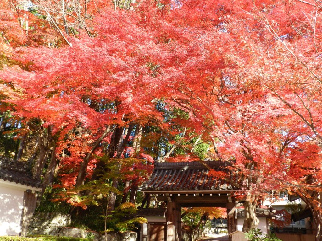 日本遺産・琵琶湖　祈りと暮らしの水遺産　西教寺